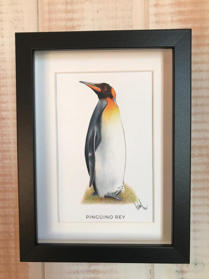 Cuadro Pingüino rey