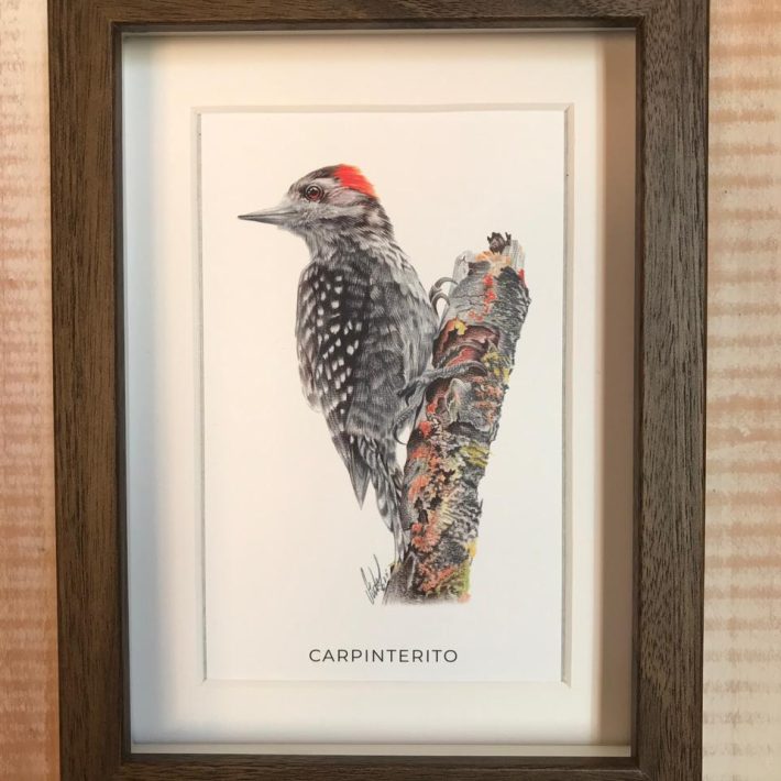 Cuadro Carpinterito