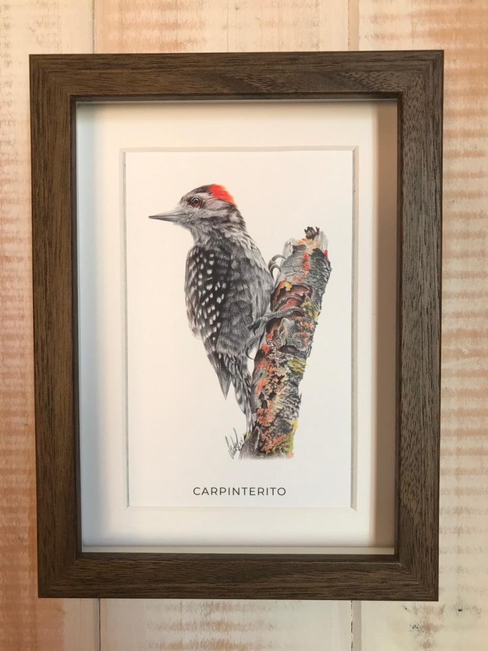Cuadro Carpinterito