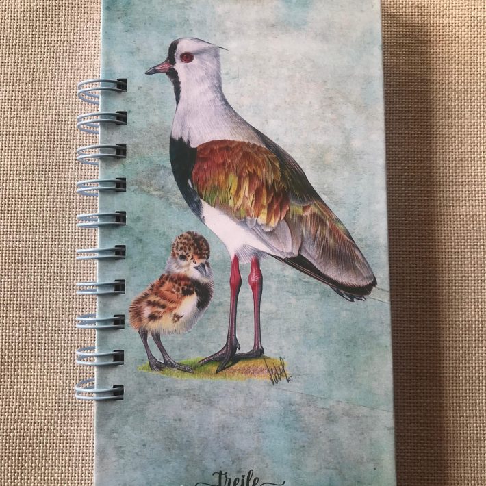 Libreta Queltehue
