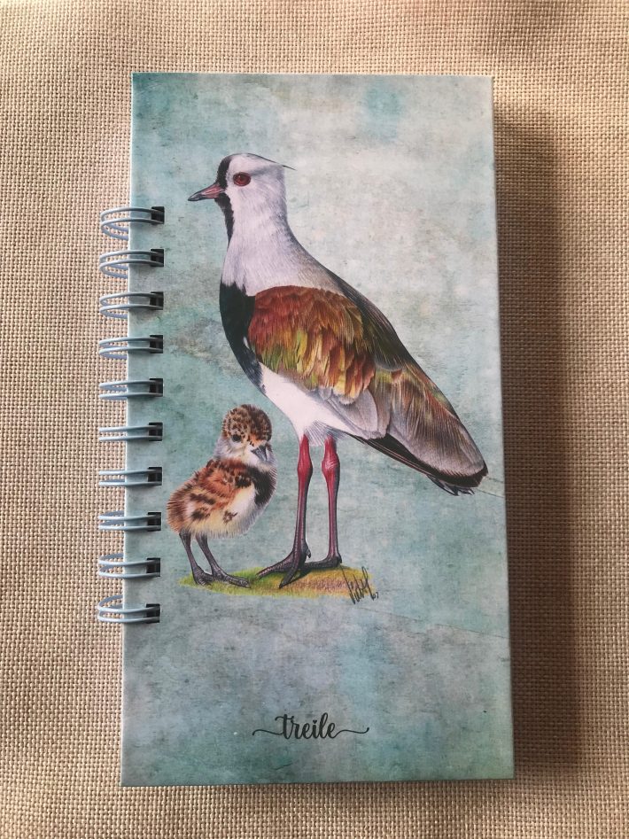 Libreta Queltehue