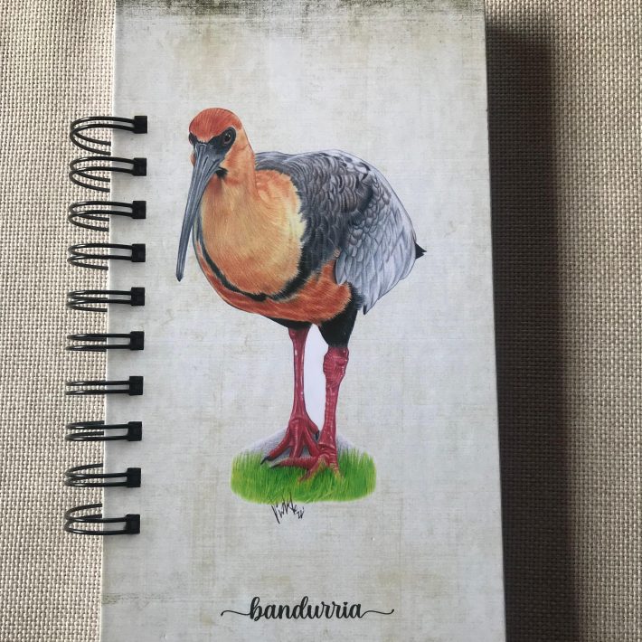 Libreta Bandurria