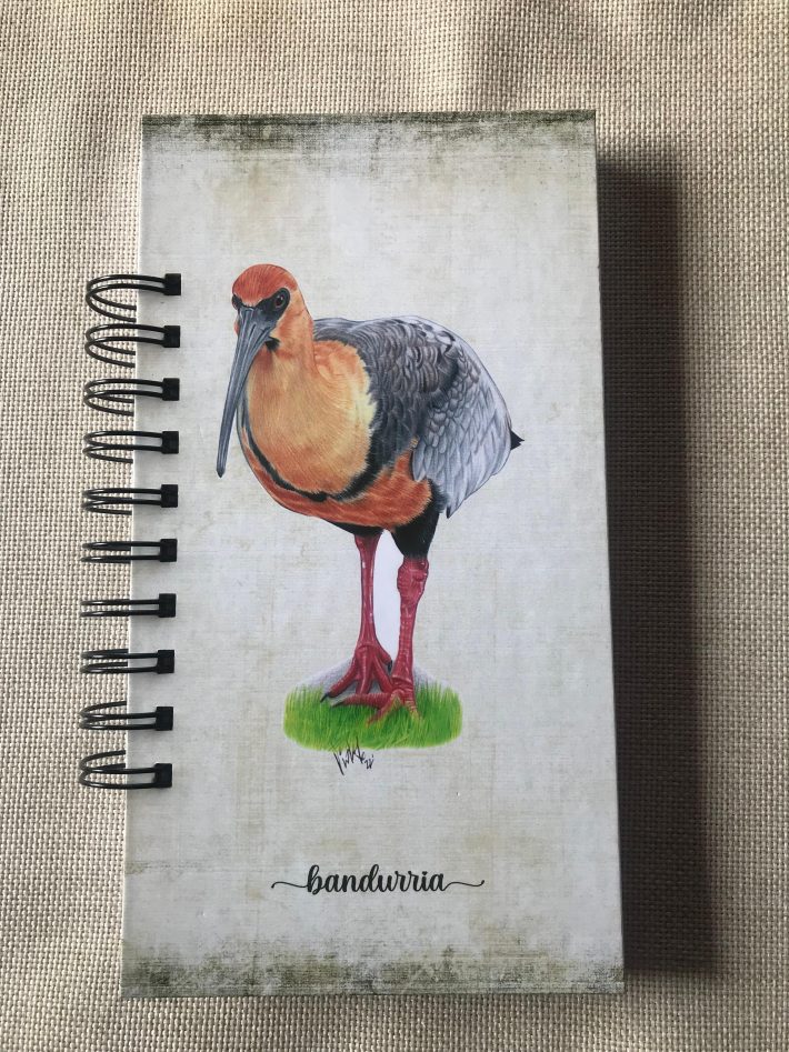 Libreta Bandurria