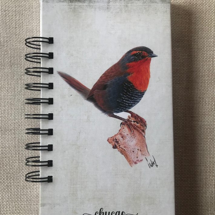Libreta Chucao