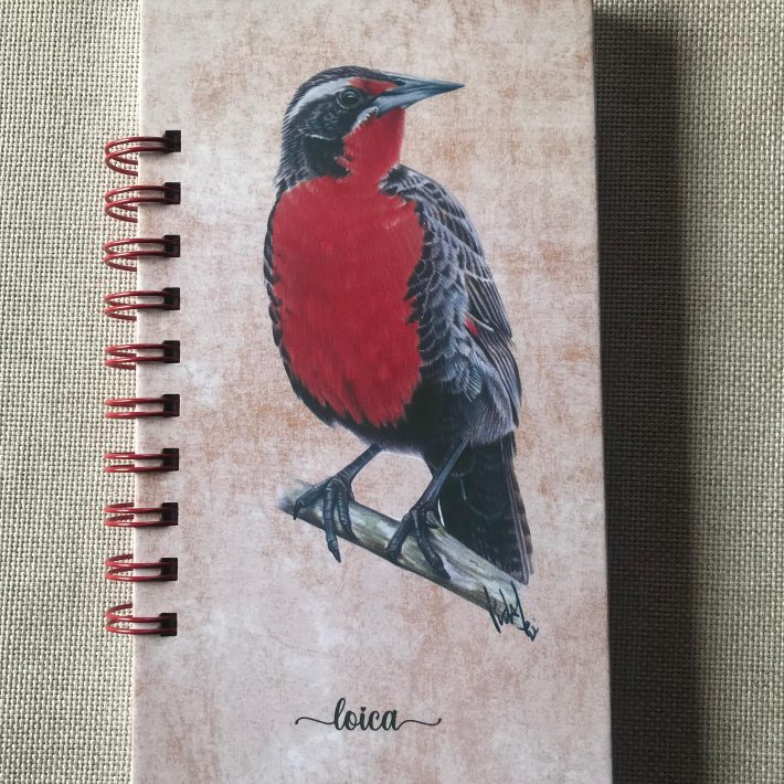 Libreta Loica