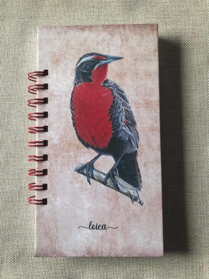 Libreta Loica
