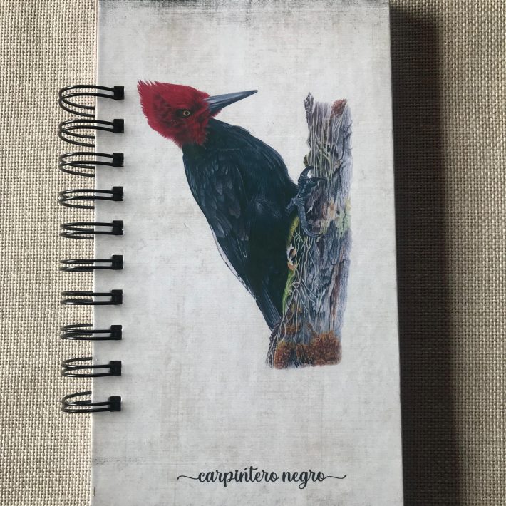 Libreta Carpintero negro