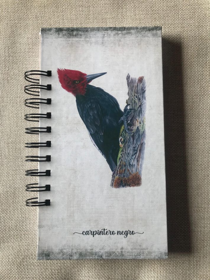 Libreta Carpintero negro
