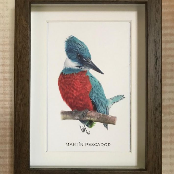 Cuadro Martín pescador