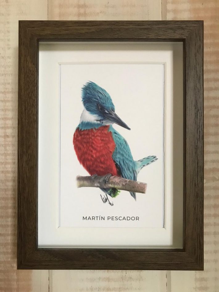 Cuadro Martín pescador