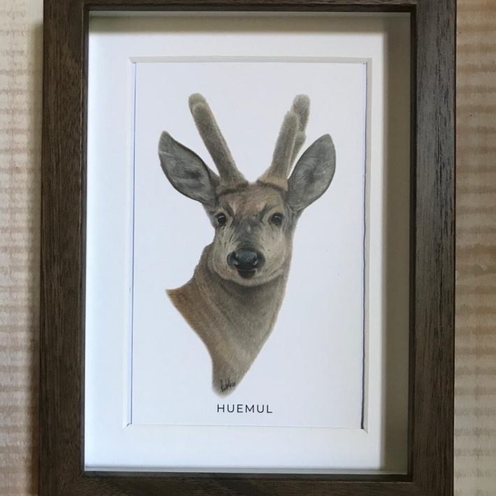 Cuadro Huemul