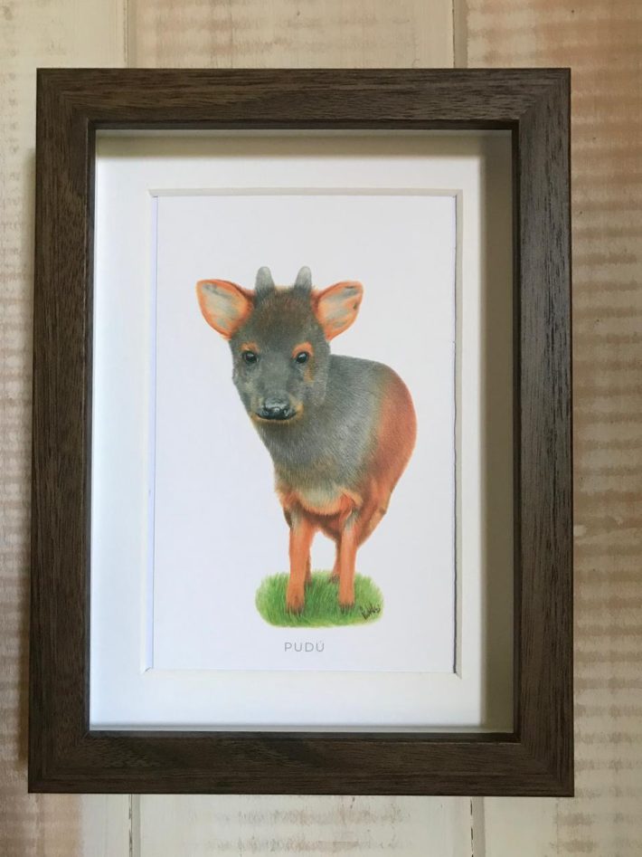 Cuadro Pudú