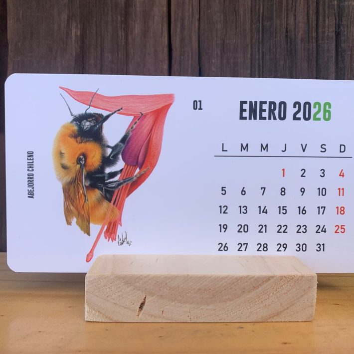 Calendario escritorio 2026 Fauna nativa
