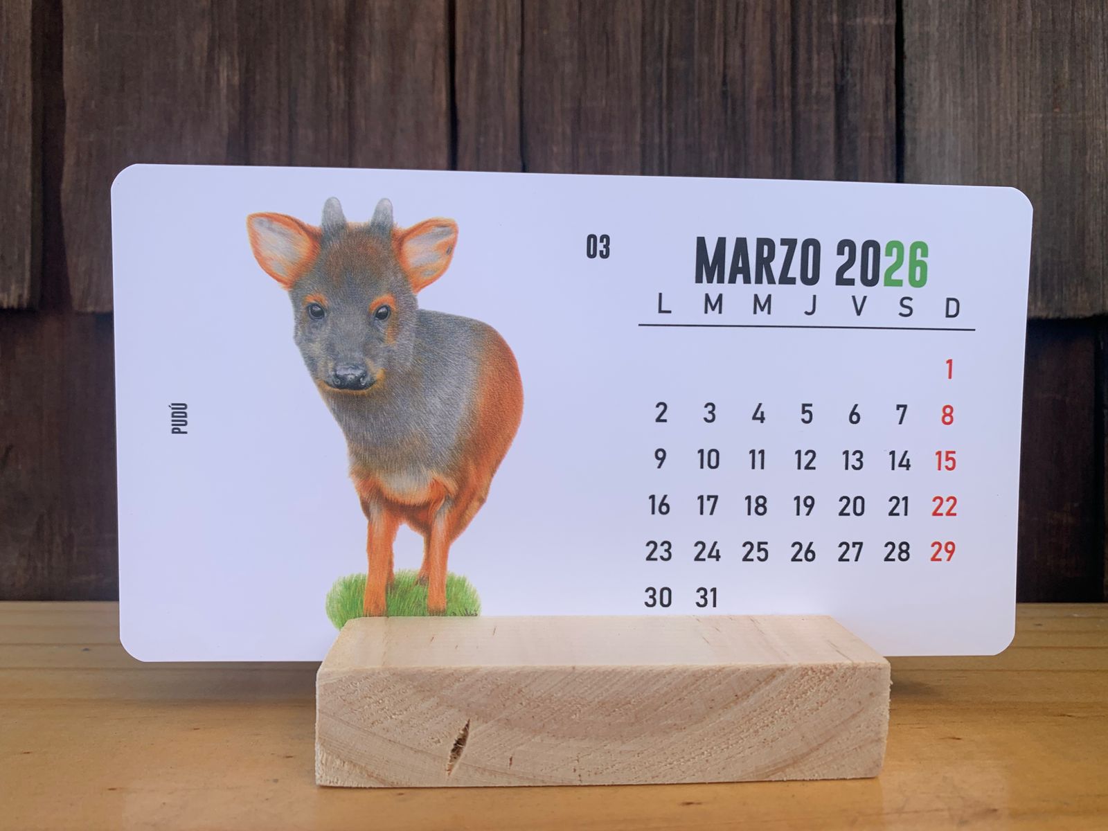 Calendario 2026 Fauna Nativa - Imagen 3